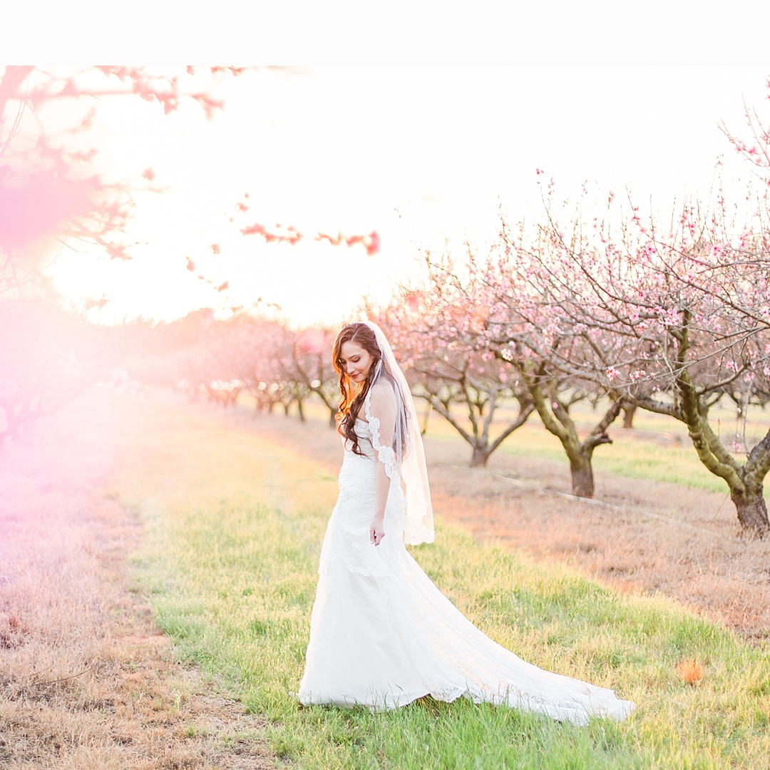 Das Peach Haus Bridal Session by Fredericksburg Wedding Photographer Allison Jeffers Wedding Photography 0020