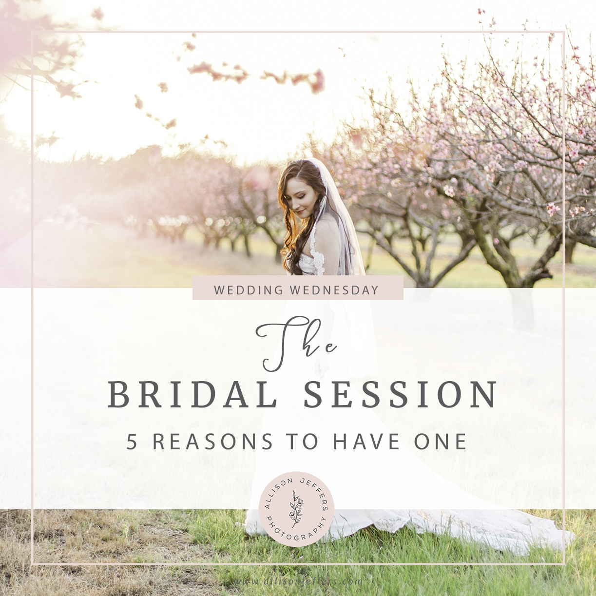 five reasons to have a bridal portrait session