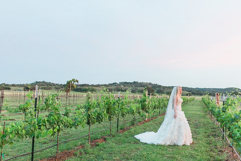 A Classic Bridal Session at Turtle Creek Olive Grove Wedding Venue in Kerrville, Texas 0031