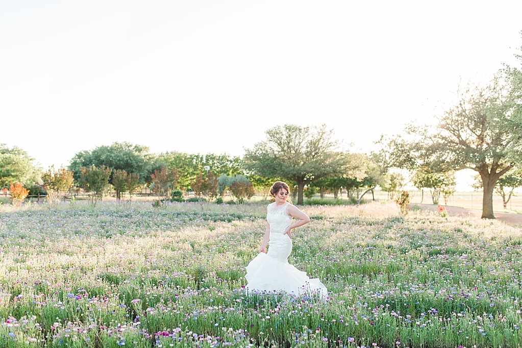 A Spring Bridal Session at The Wildseed Farm in Fredericksburg Texas on Highway 290 by Allison Jeffers Photography 0001