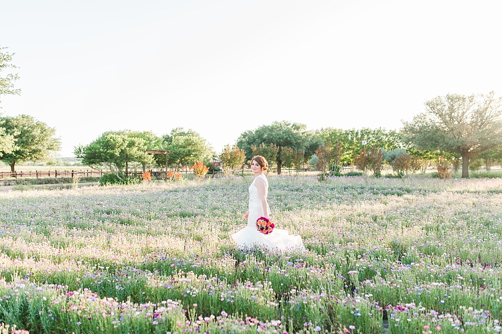 A Spring Bridal Session at The Wildseed Farm in Fredericksburg Texas on Highway 290 by Allison Jeffers Photography 0007