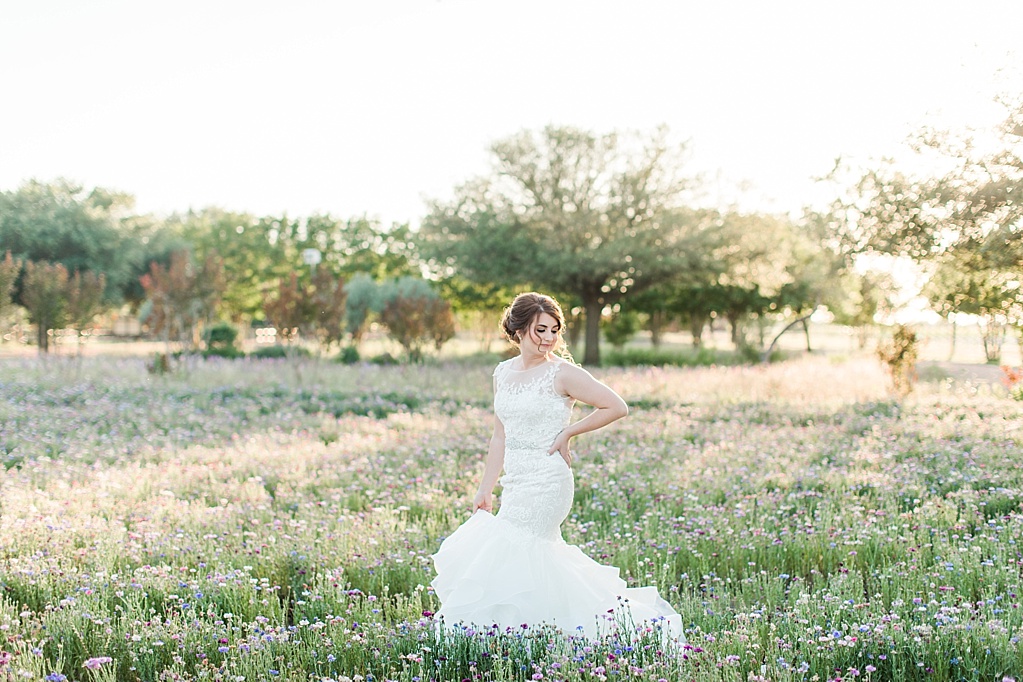 A Spring Bridal Session at The Wildseed Farm in Fredericksburg Texas on Highway 290 by Allison Jeffers Photography 0015