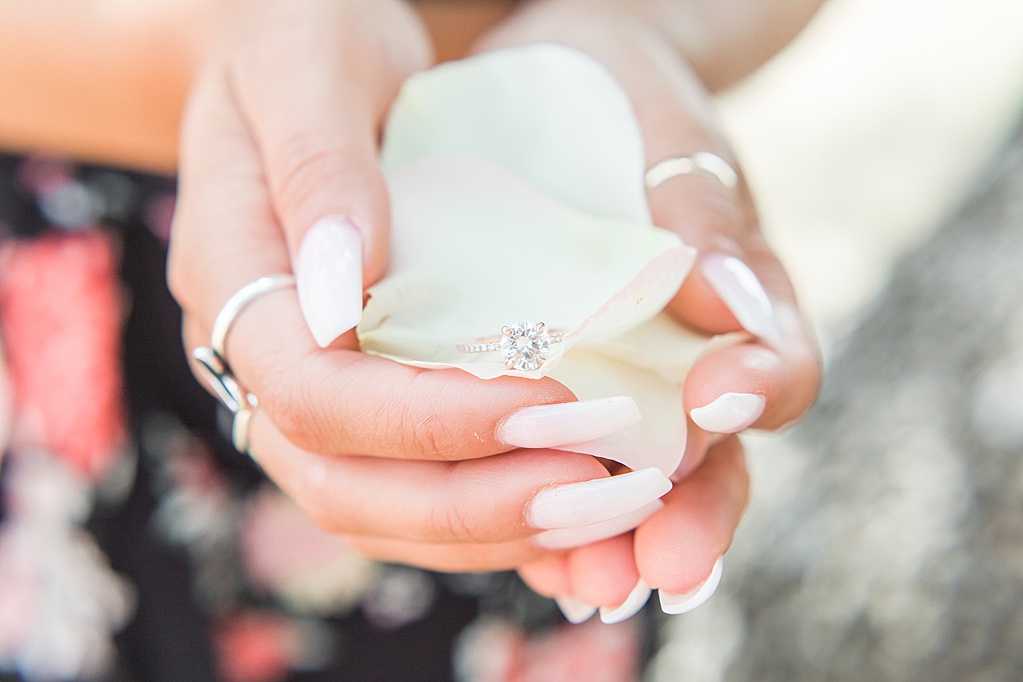 a surprise proposal at 1851 vineyard in Fredericksburg, Texas by Allison Jeffers Wedding Photography 0007