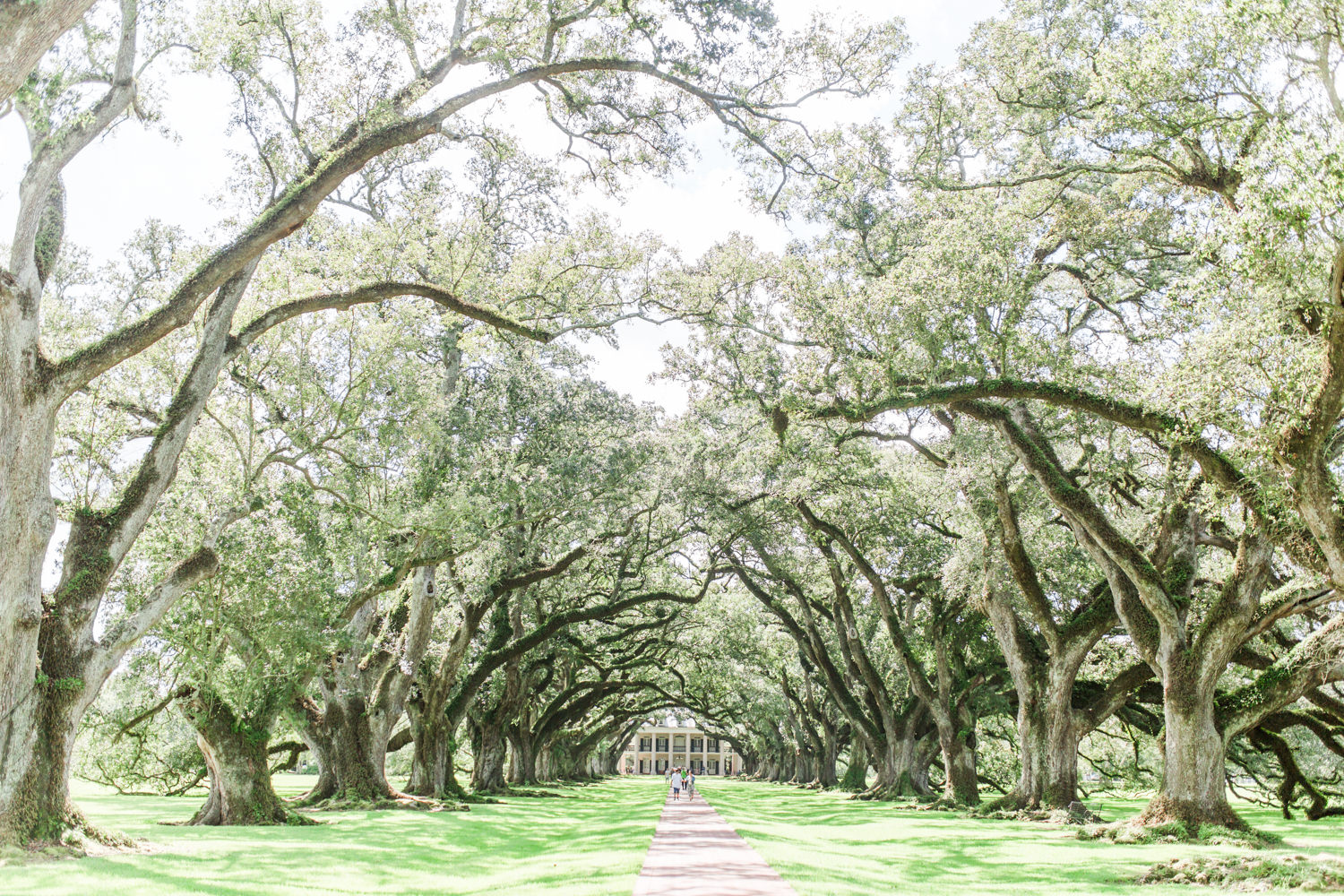 oak alley plantation tour what to do in new orleans plus travel tips 10