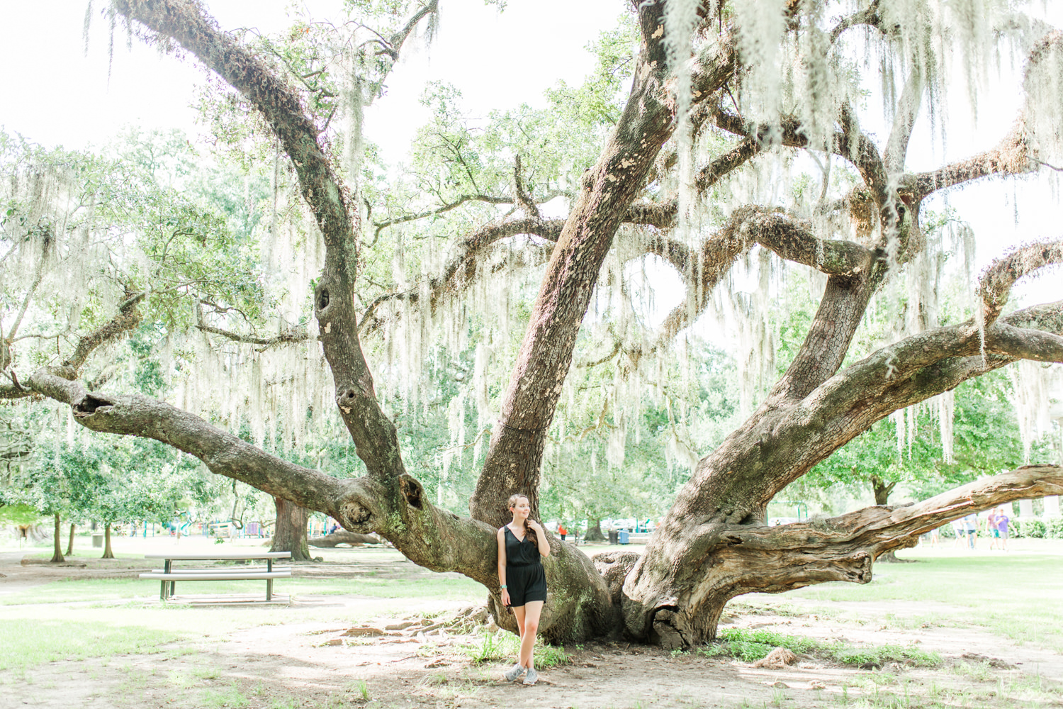 what to do in new orleans plus travel tips 9