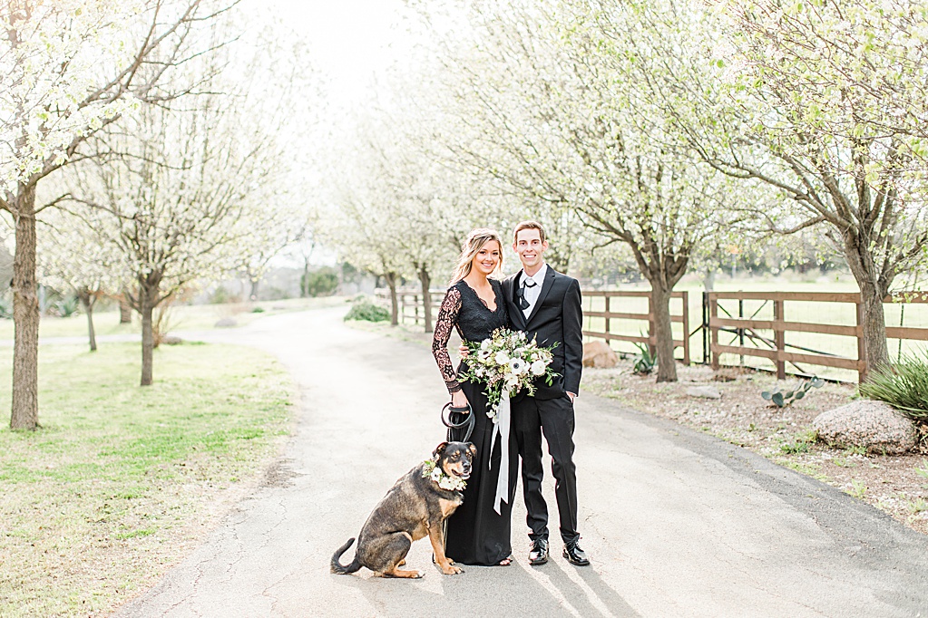 King River Ranch Wedding Venue in Johnson City Engagement Photos in the white Pear blossoms by Allison Jeffers Wedding Photography 0001
