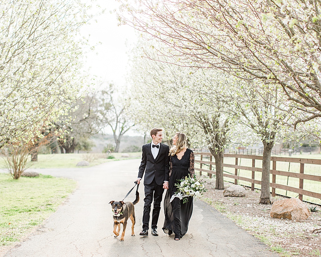 King River Ranch Wedding Venue in Johnson City Engagement Photos in the white Pear blossoms by Allison Jeffers Wedding Photography 0003