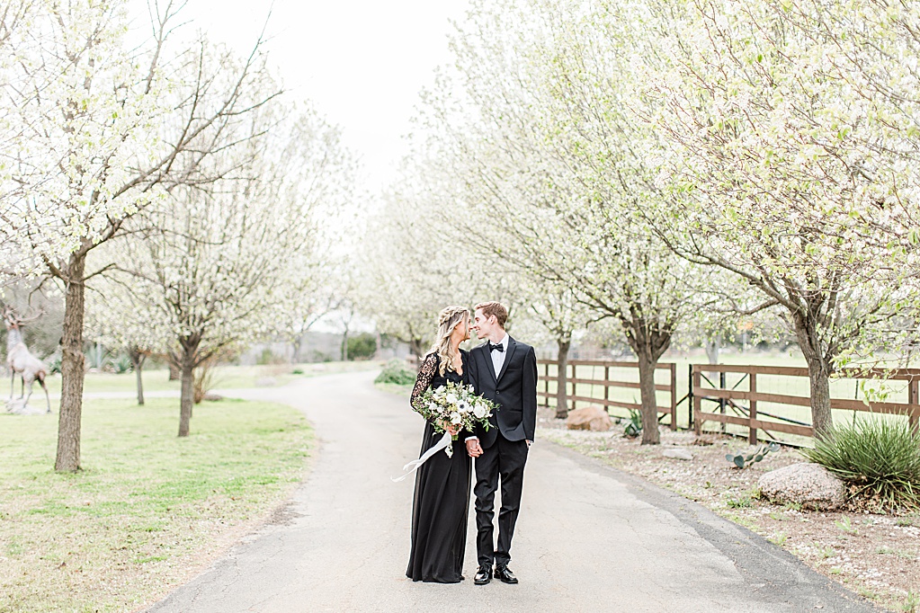 King River Ranch Wedding Venue in Johnson City Engagement Photos in the white Pear blossoms by Allison Jeffers Wedding Photography 0032