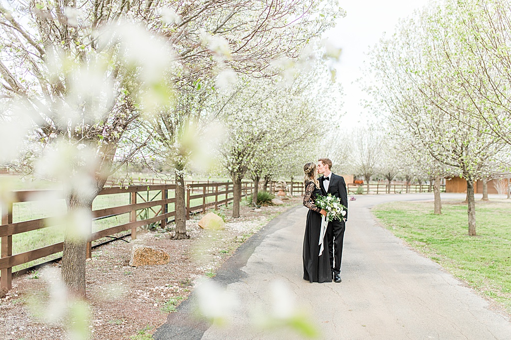 King River Ranch Wedding Venue in Johnson City Engagement Photos in the white Pear blossoms by Allison Jeffers Wedding Photography 0046