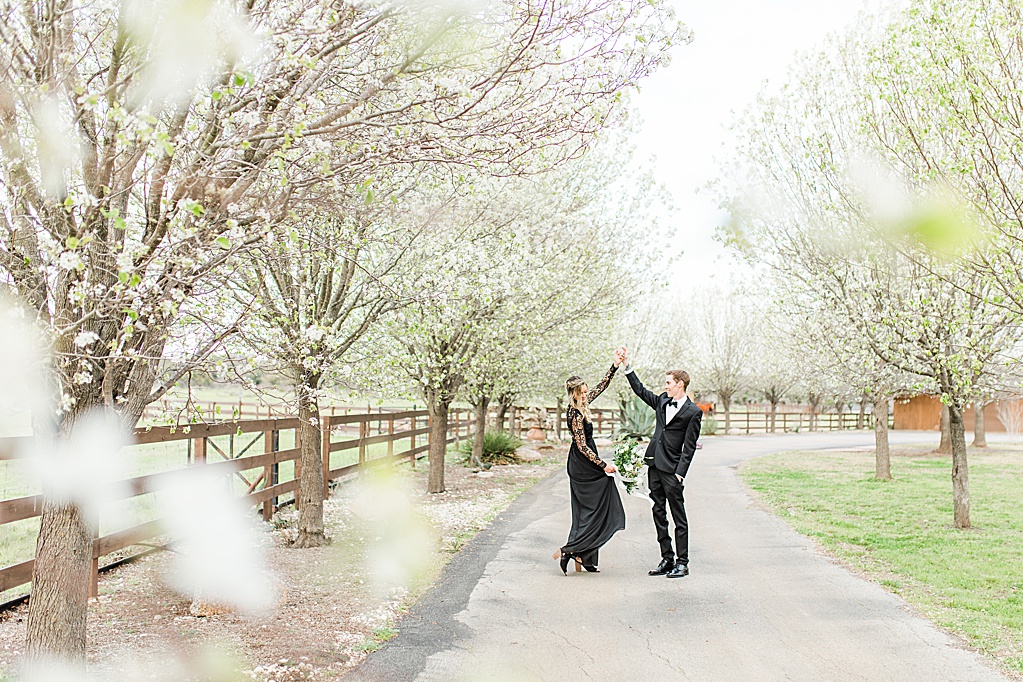 King River Ranch Wedding Venue in Johnson City Engagement Photos in the white Pear blossoms by Allison Jeffers Wedding Photography 0048