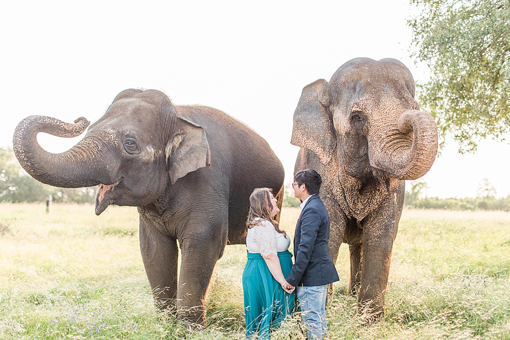 A Texas Engagement Session with Elephants in Fredericksburg 0008