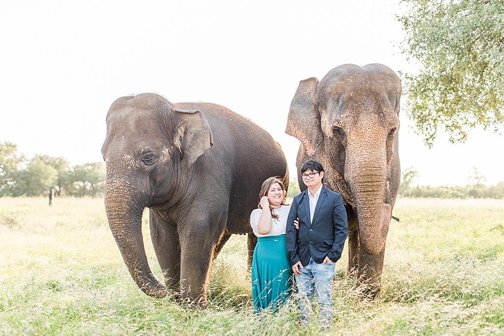 A Texas Engagement Session with Elephants in Fredericksburg 0009