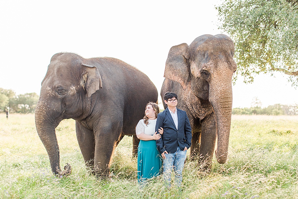 A Texas Engagement Session with Elephants in Fredericksburg 0010