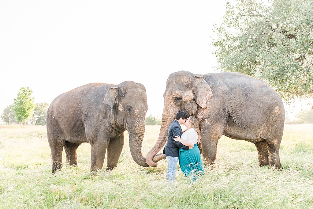A Texas Engagement Session with Elephants in Fredericksburg 0012