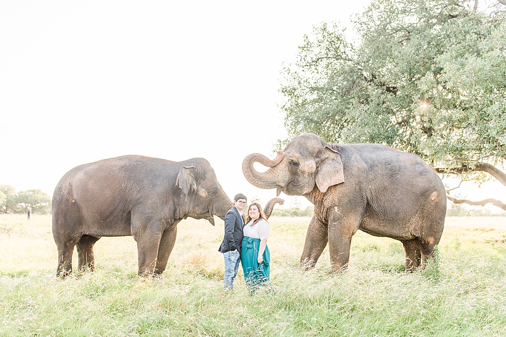 A Texas Engagement Session with Elephants in Fredericksburg 0014