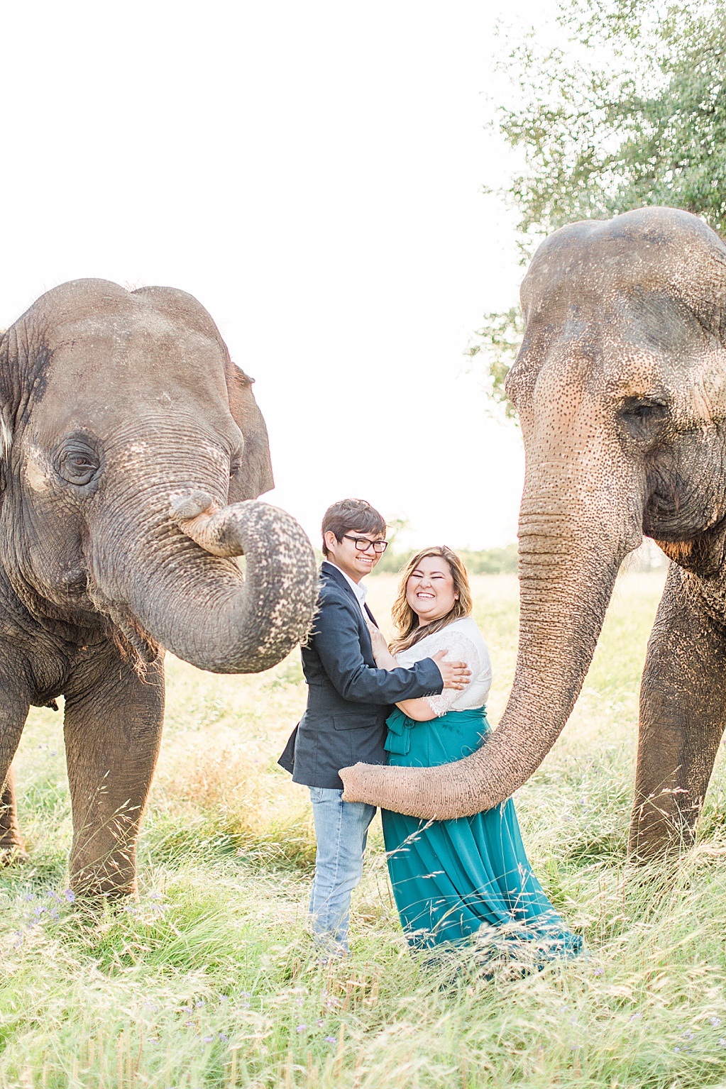A Texas Engagement Session with Elephants in Fredericksburg 0015
