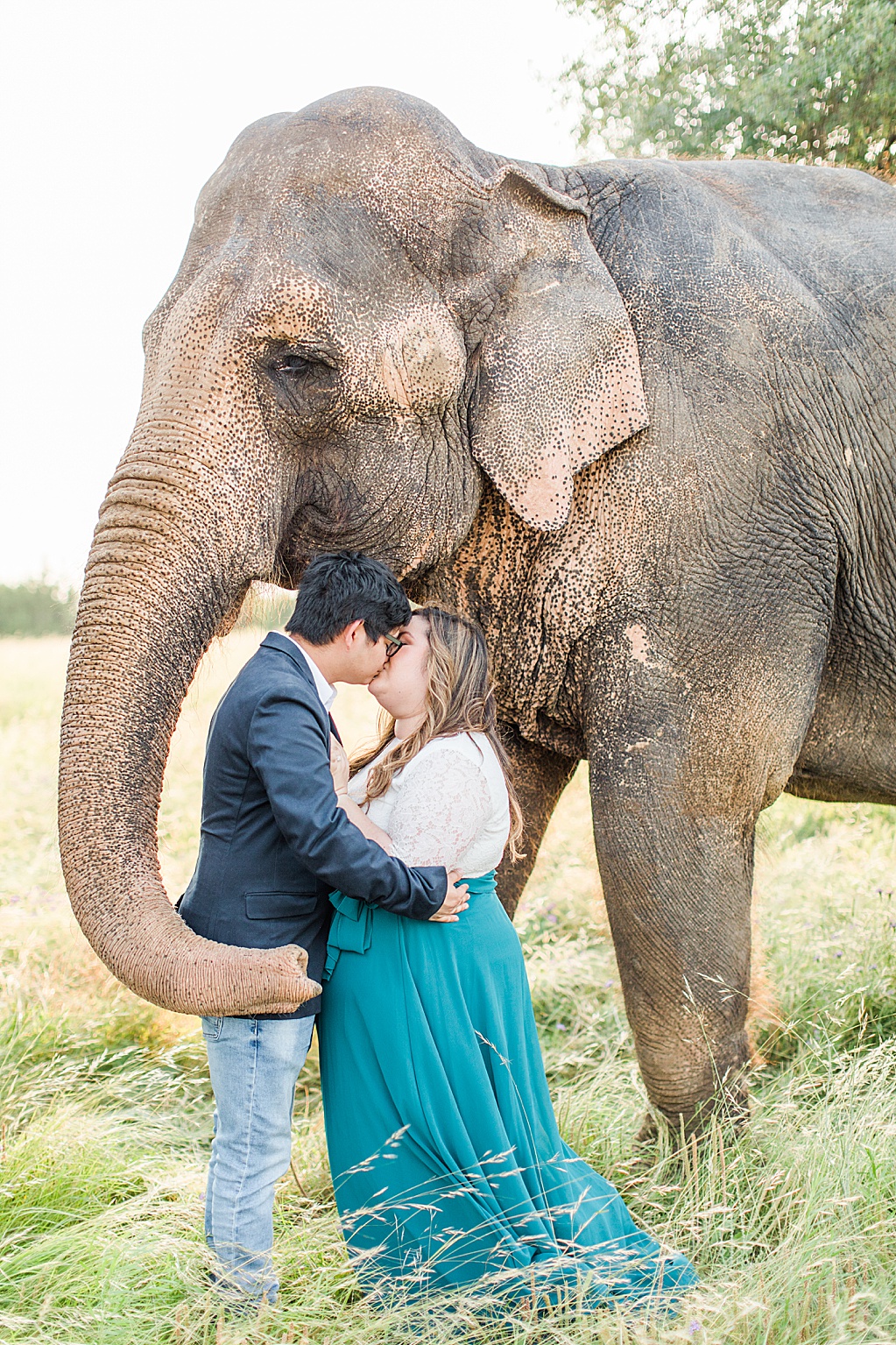 A Texas Engagement Session with Elephants in Fredericksburg 0017