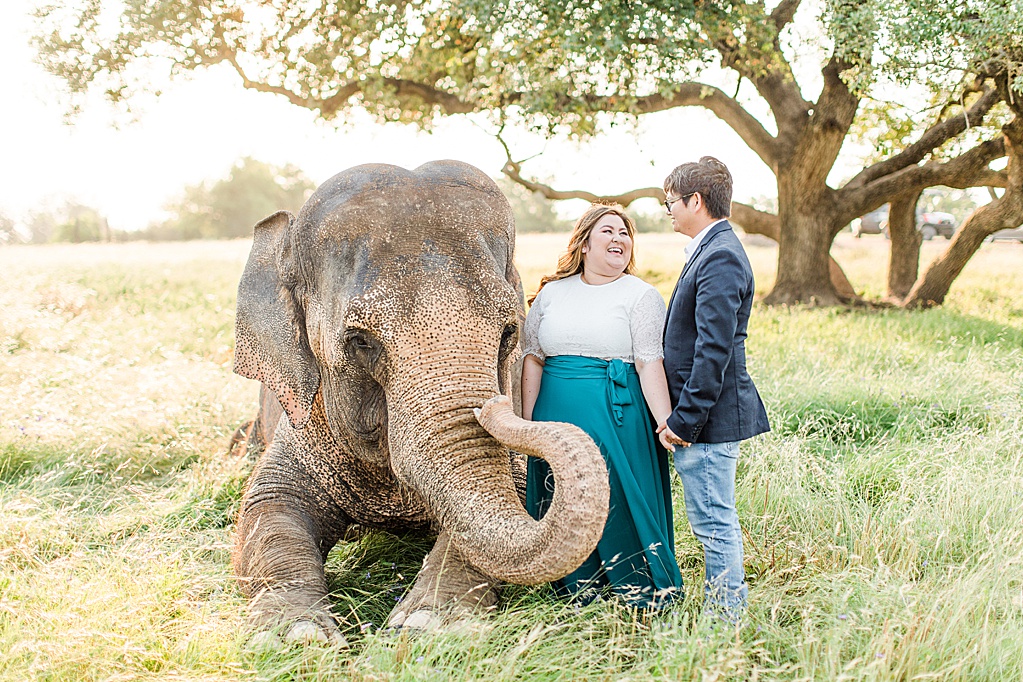 A Texas Engagement Session with Elephants in Fredericksburg 0018