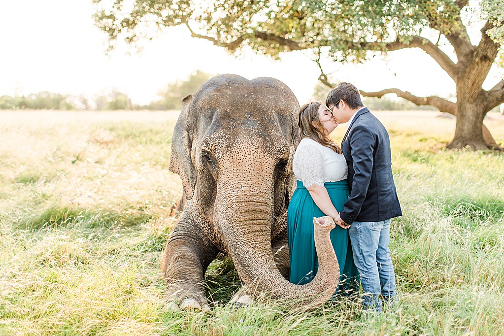 A Texas Engagement Session with Elephants in Fredericksburg 0019