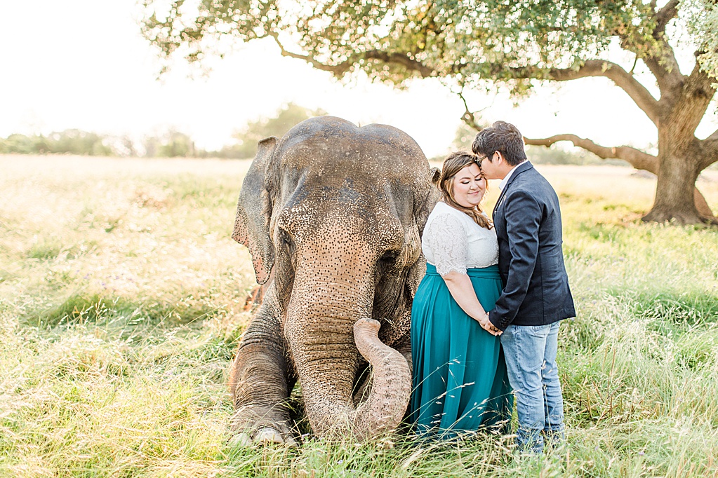 A Texas Engagement Session with Elephants in Fredericksburg 0020