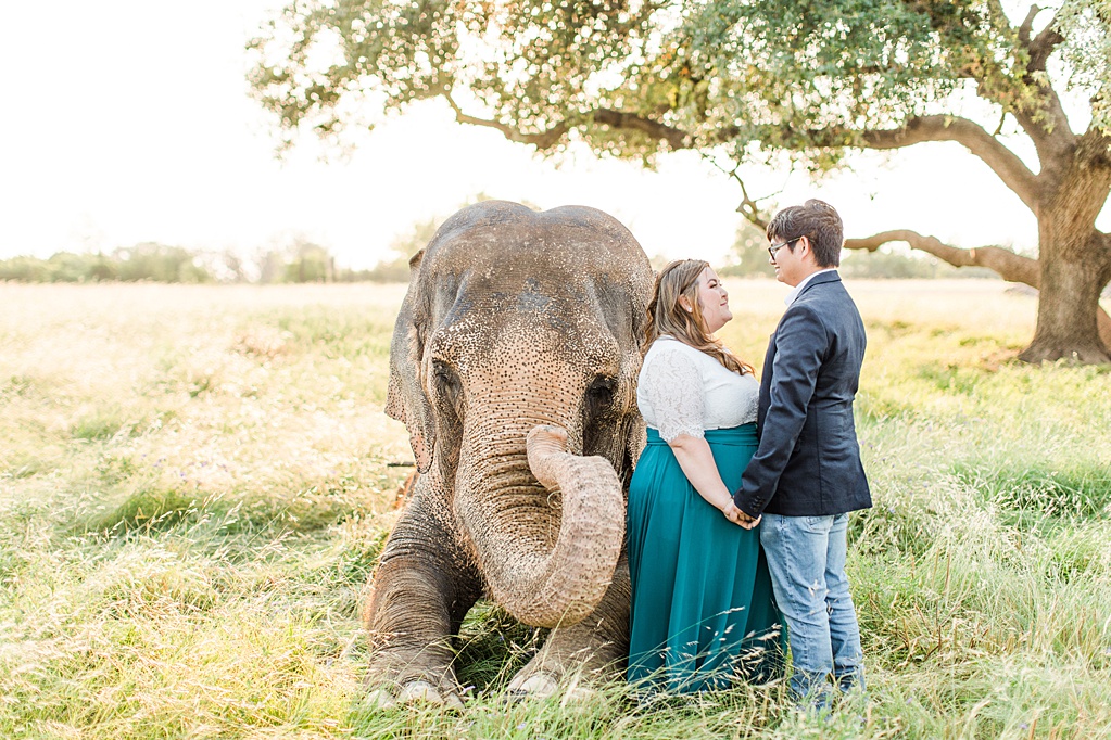A Texas Engagement Session with Elephants in Fredericksburg 0024