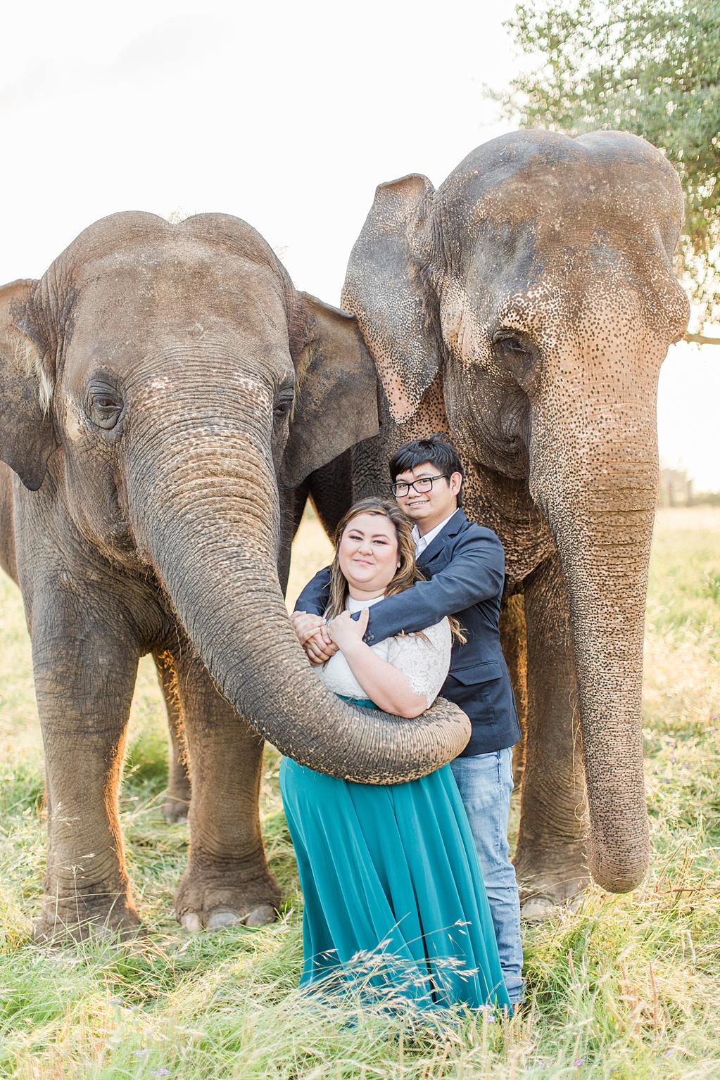 A Texas Engagement Session with Elephants in Fredericksburg 0030