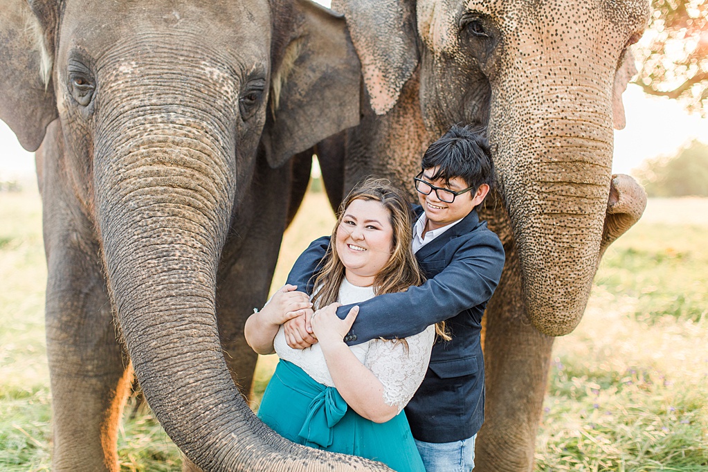 A Texas Engagement Session with Elephants in Fredericksburg 0033