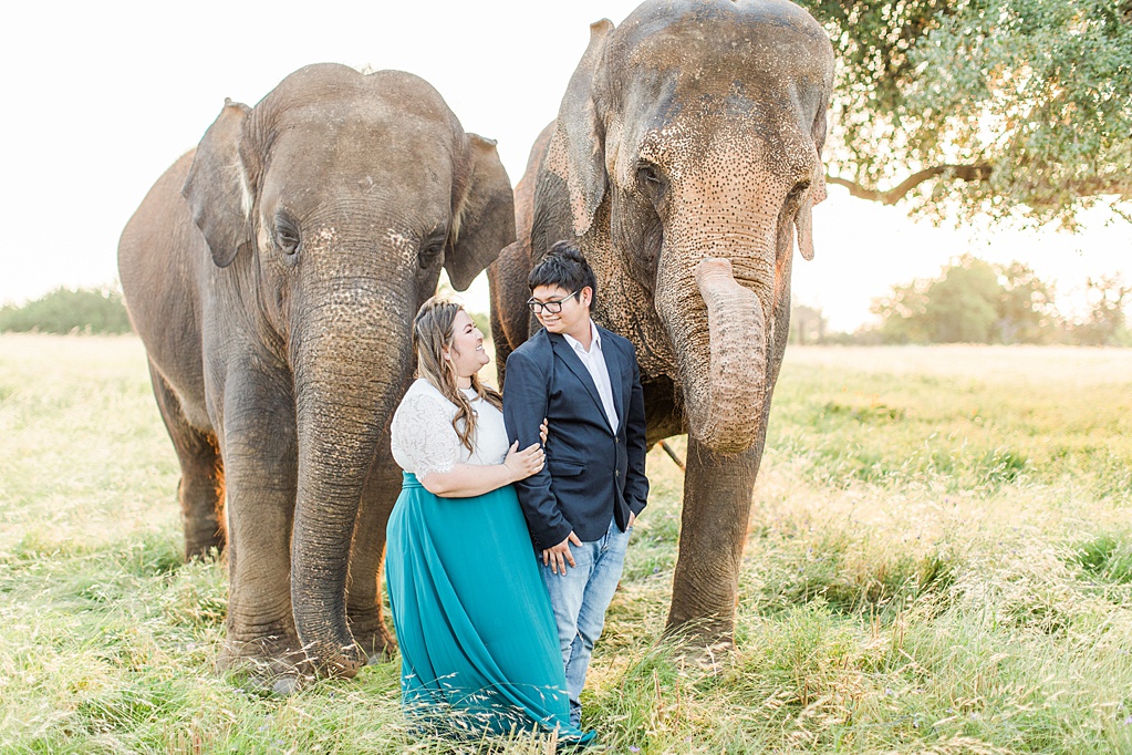 A Texas Engagement Session with Elephants in Fredericksburg 0034