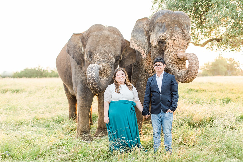 A Texas Engagement Session with Elephants in Fredericksburg 0036