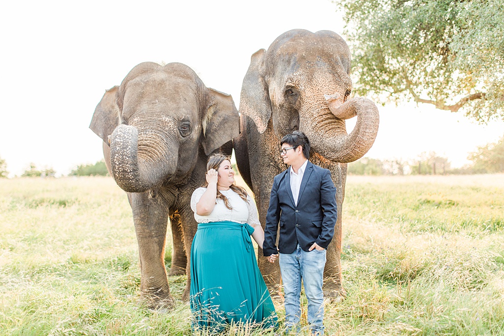 A Texas Engagement Session with Elephants in Fredericksburg 0037