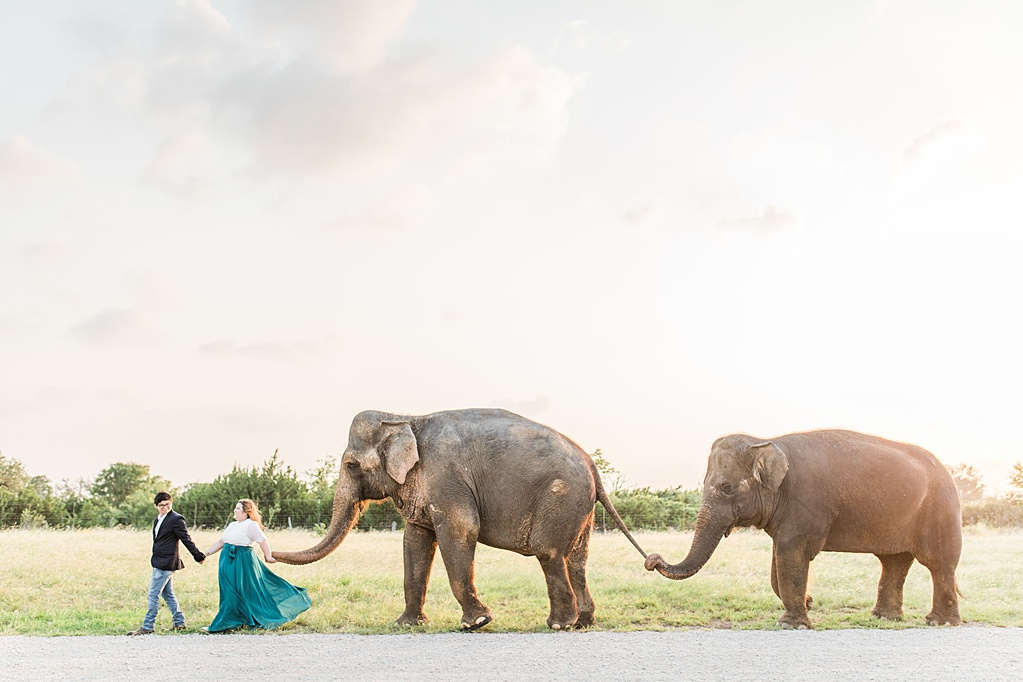 A Texas Engagement Session with Elephants in Fredericksburg 0044