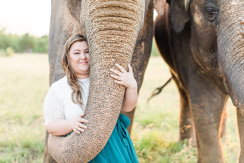 A Texas Engagement Session with Elephants in Fredericksburg 0045