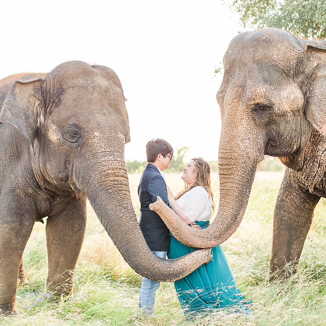 A Texas Engagement Session with Elephants in Fredericksburg 0070