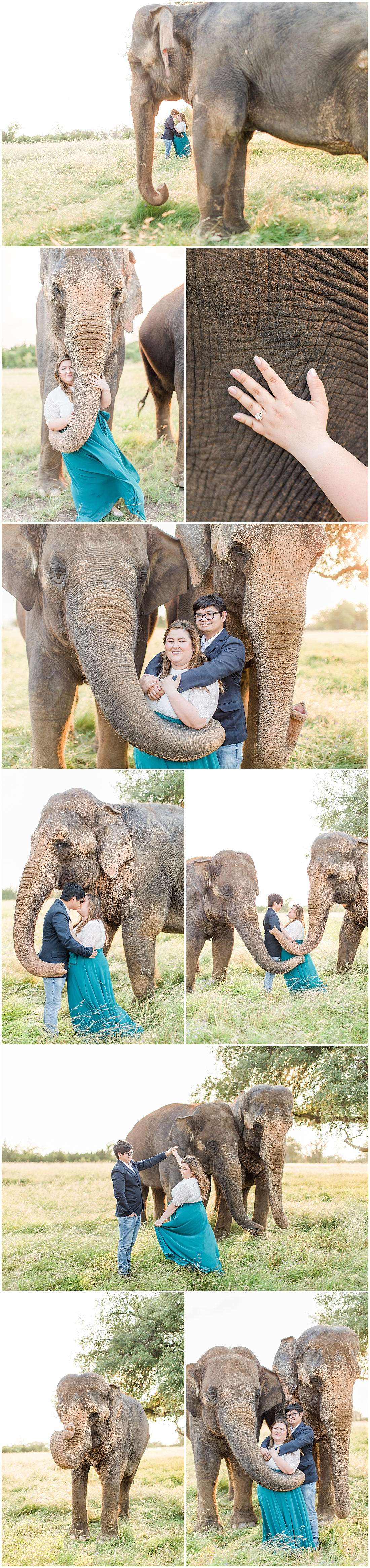 A Texas Engagement Session with Elephants in Fredericksburg 0072