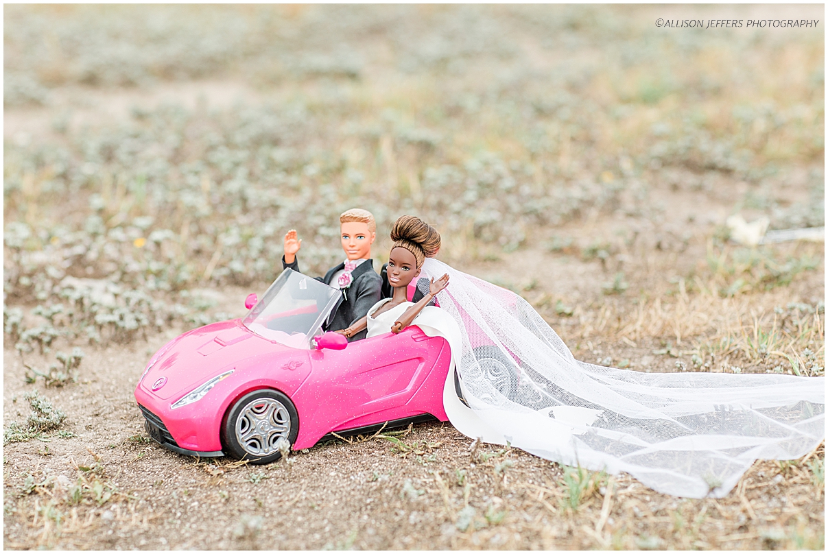 Barbie and Ken dream wedding photography styled shoot by Allison Jeffers Photography 0119