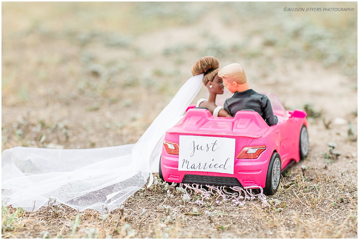 Barbie and Ken dream wedding photography styled shoot by Allison Jeffers Photography 0121