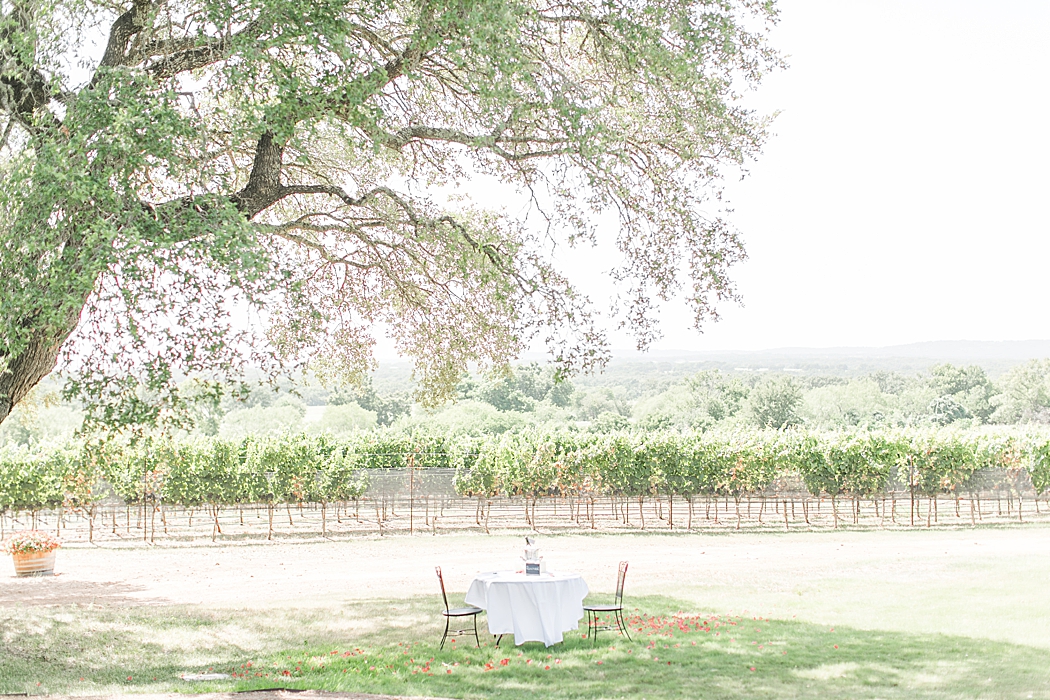 A surprise proposal at William Chris Vineyards in Fredericksburg Texas by Allison Jeffers Photography 0008