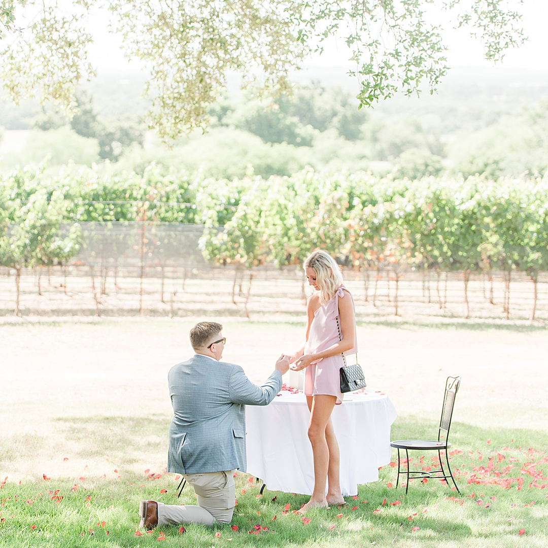 A surprise proposal at William Chris Vineyards in Fredericksburg Texas by Allison Jeffers Photography 0050