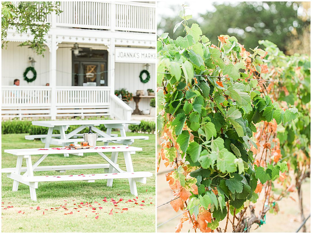 Surprise Proposal at Signor Vineyards in Fredericksburg Texas By Allison Jeffers Photography 0007