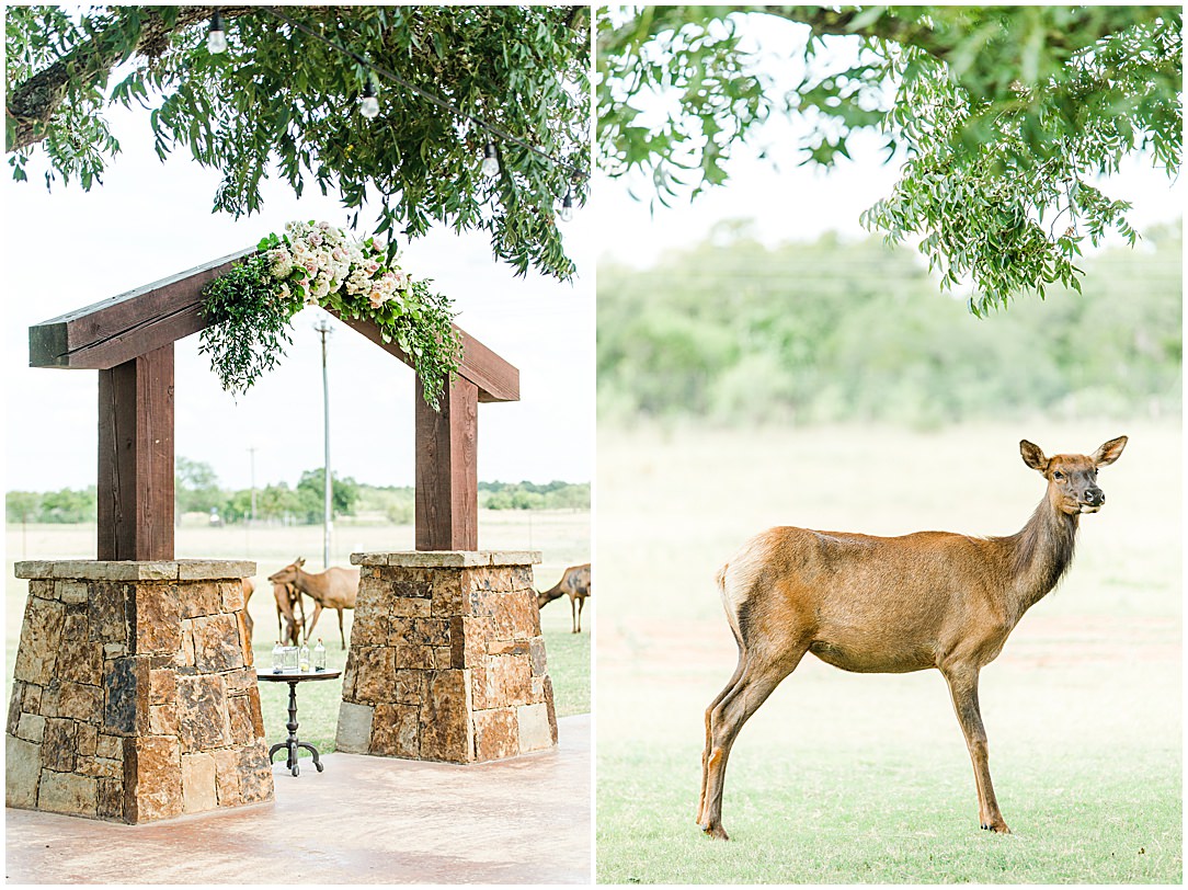 Summer Wedding at The Lodge at Country Inn Cottages in Fredericksburg Texas by Allison Jeffers Photography 0055