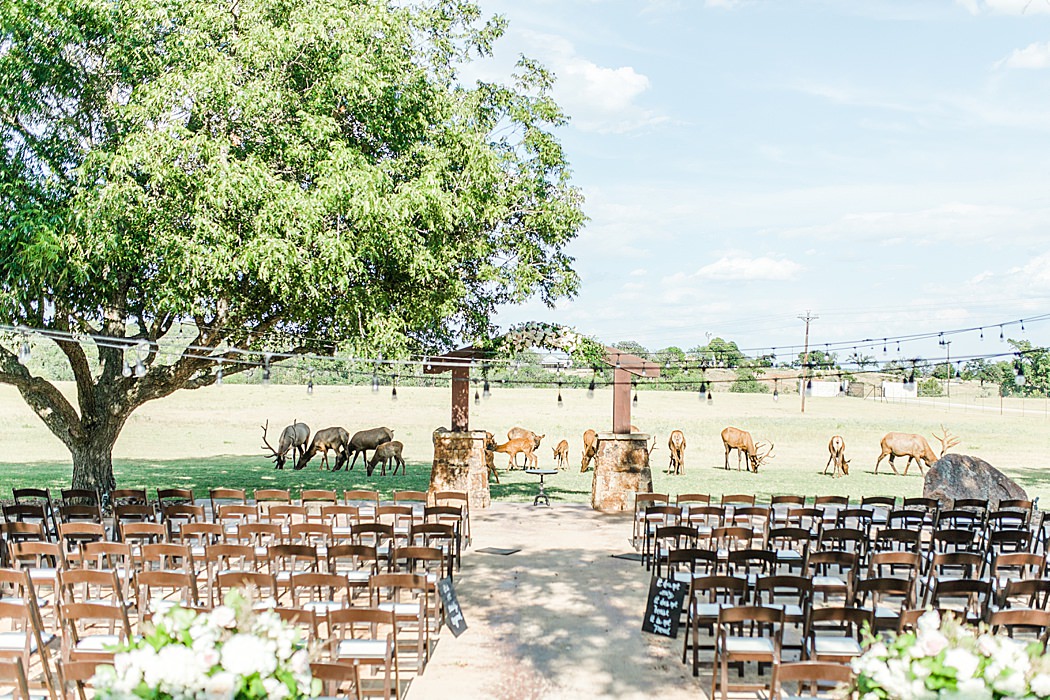 Summer Wedding at The Lodge at Country Inn Cottages in Fredericksburg Texas by Allison Jeffers Photography 0057