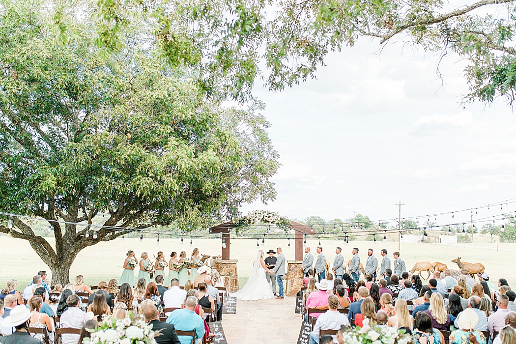Summer Wedding at The Lodge at Country Inn Cottages in Fredericksburg Texas by Allison Jeffers Photography 0072