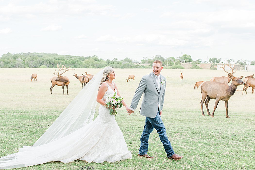 Summer Wedding at The Lodge at Country Inn Cottages in Fredericksburg Texas by Allison Jeffers Photography 0088