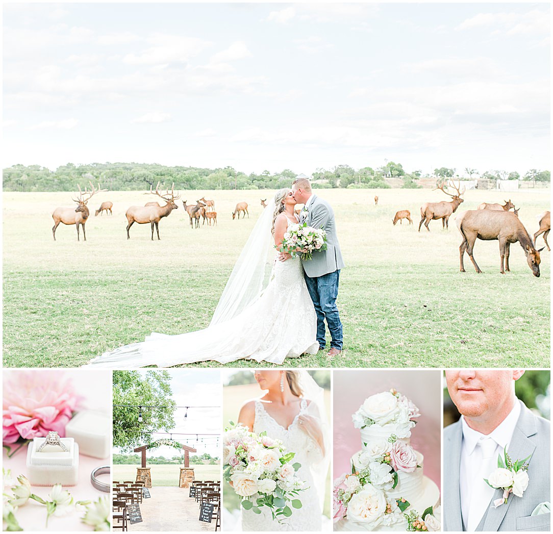 Summer Wedding at The Lodge at Country Inn Cottages in Fredericksburg Texas by Allison Jeffers Photography 0145