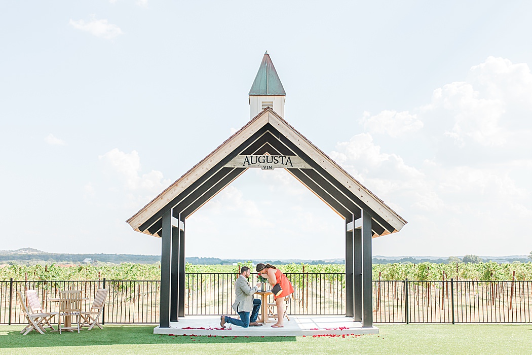 Surprise proposal at Augusta Vin vineyard in Fredericksburg Texas by Allison Jeffers Photography 0010