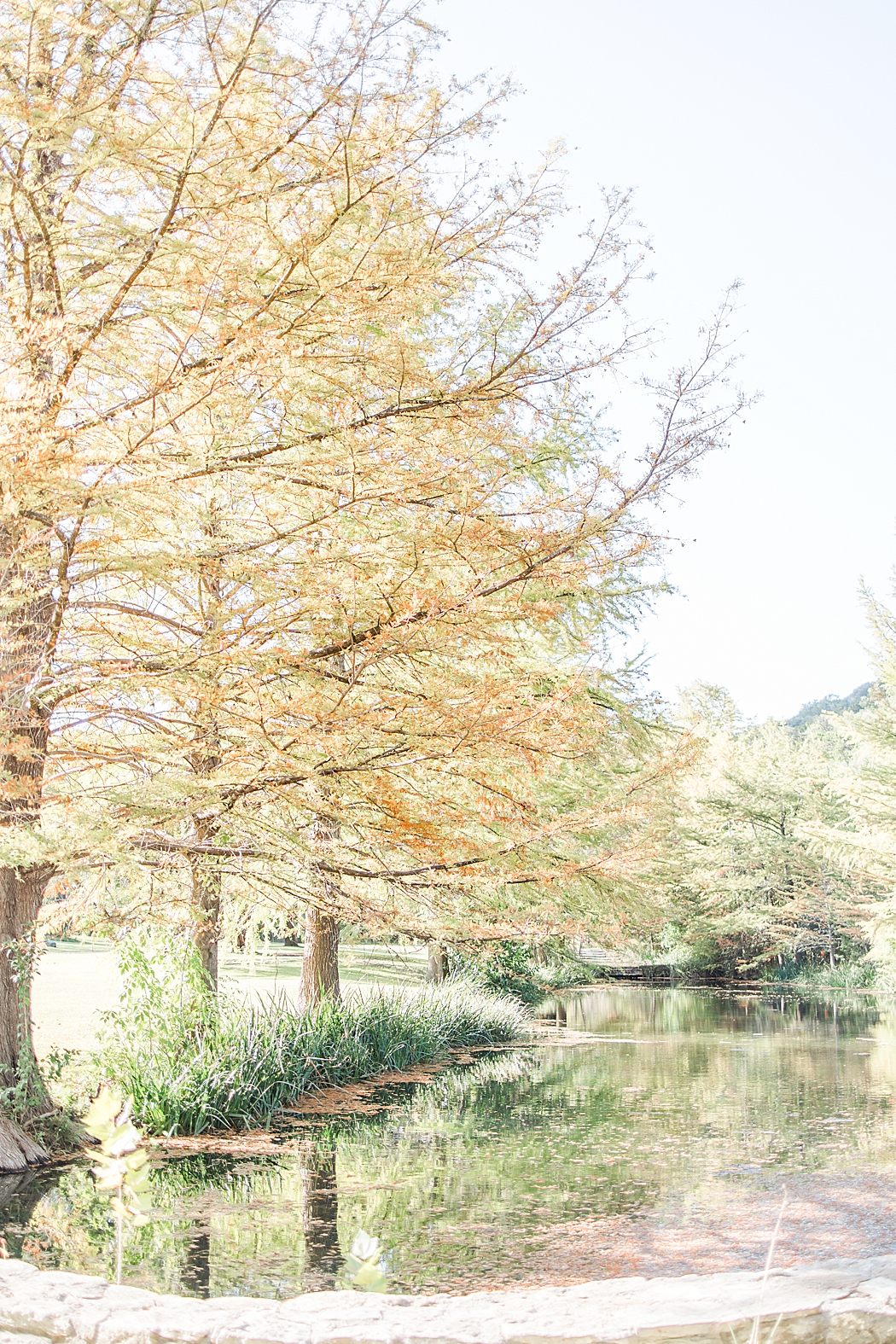 Terra Cotta Fall Micro Wedding in Kerrville Texas at a private estate in the Hill Country by Allison Jeffers Photography 0016