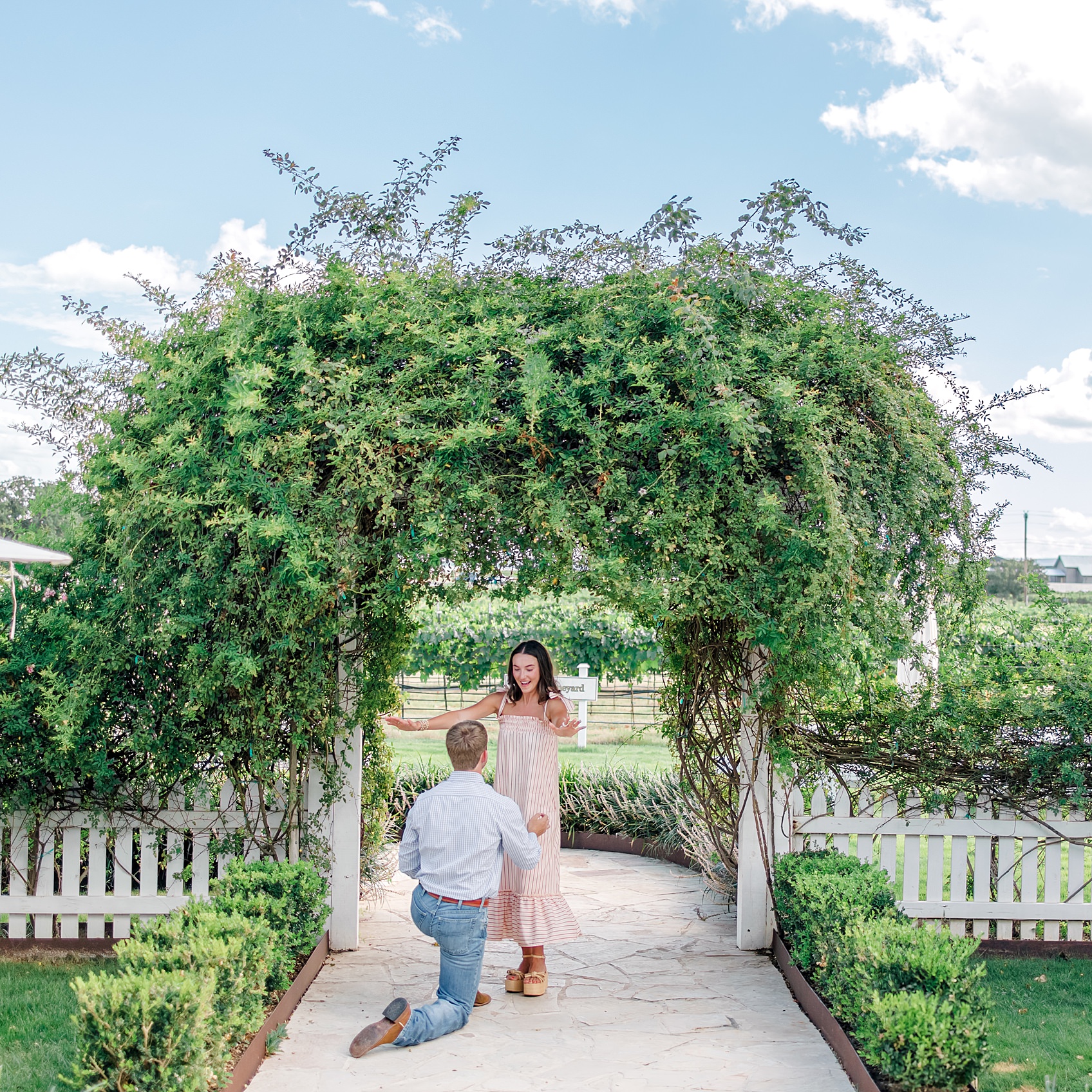 A summer proposal at Signor Vineyards in Fredericksburg TX 0045